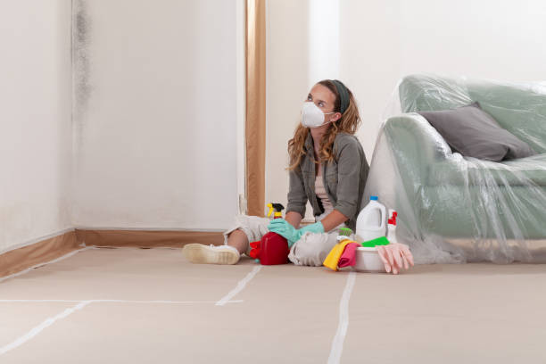 Reliable Mold Remediation contractor in Franklin, VA by Mold Remediation HQ